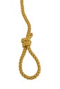 Hangman`s noose made of Twine rope or Jute Rope with Knot isolated on White Background Royalty Free Stock Photo