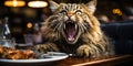 The Hangry Concept Cats Funny Food Demand