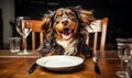 Hangry Dog Makes Funny Angry Face While Demanding Food at Nice Restaurant