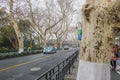 Road in hangzhou city near Xihu lakeWest Lake China