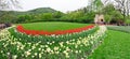 Hangzhou Taiziwan Park tulips in full bloom
