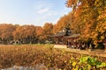 Hangzhou west lake autumn withered lotus leaf Royalty Free Stock Photo