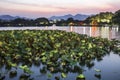 Hangzhou west lake at night Royalty Free Stock Photo