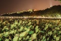 Hangzhou west lake at night Royalty Free Stock Photo