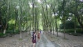 Hangzhou west lake,Orioles Singing in the Willows