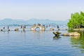 Hangzhou west lake scenery Royalty Free Stock Photo