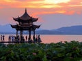 Hangzhou west lake sunset lotus pond GuTing cool