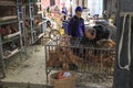 Hani people buying stuff in the Shengcun local market in YuanYang. Hani are one of the 56 minorities in China and are native of Yu