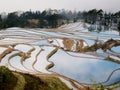 Hani Rice terraces Yuanyang, China Royalty Free Stock Photo