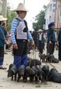 Hani Woman Selling Piglets