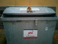 Hannover, Lower Saxony, Germany - July, 29, 2019: a lonely little teddy bear sitting on a metal garbage container