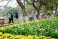Hanoi, Vietnam - Feb 20, 2017 : Peopla walking by Flower Garden Royalty Free Stock Photo