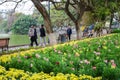 Hanoi, Vietnam - Feb 20, 2017 : Peopla walking by Flower Garden Royalty Free Stock Photo