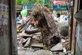 Hanoi, Vietnam - June 14, 2015: Fallen tree damaged on street by natural heavy wind storm in Minh Khai street Royalty Free Stock Photo