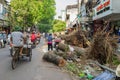 Hanoi, Vietnam - June 14, 2015: Fallen tree damaged on street by natural heavy wind storm in Minh Khai street Royalty Free Stock Photo