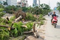 Hanoi, Vietnam - June 14, 2015: Fallen tree damaged on street by natural heavy wind storm in Tam Trinh street Royalty Free Stock Photo