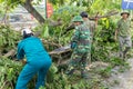 Hanoi, Vietnam - June 14, 2015: Fallen tree damaged on street by natural heavy wind storm in Tam Trinh street Royalty Free Stock Photo