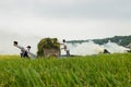 Hanoi, Vietnam - May 24, 2015: Asian farmers working on field in harvesting season in suburb of Hanoi Royalty Free Stock Photo