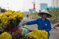 HANOI VIETNAM - NOV3,2017 : vietnamese flower seller preparing y