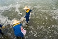 Hanoi, Vietnam - Oct 2, 2016: Garbage collector, environment workers take mass dead fishes out from West Lake Royalty Free Stock Photo