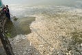 Hanoi, Vietnam - Oct 2, 2016: Mass dead fish on lake with Garbage collector, environment workers take mass dead fishes out from We