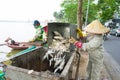 Hanoi, Vietnam - Oct 2, 2016: Pile of dead fish took out of polluted water at West Lake collected to garbage cart on street Royalty Free Stock Photo