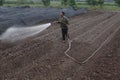 Hanoi, Vietnam - October 21, 2015: farmer water the plants to his field on daylight