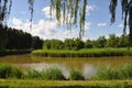 Hanshiqiao Wetland Nature Reserve in Beijing Royalty Free Stock Photo