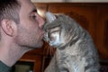 Hansome adult man kissing forehead adorable grey striped cat