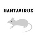 Hantavirus hand lettering and gray rat or mouse isolated on white. New virus from China. Hantavirus pulmonary syndrome HPS . Royalty Free Stock Photo