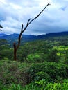 Hanthana mountain range,Kandy,Srilanka.