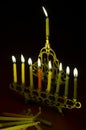 Hanuka candles in hanukkiya Royalty Free Stock Photo