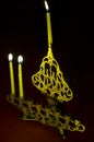 Hanuka candles in hanukkiya Royalty Free Stock Photo