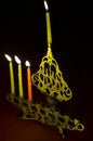 Hanuka candles in hanukkiya