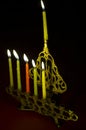 Hanuka candles in hanukkiya