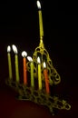 Hanuka candles in hanukkiya Royalty Free Stock Photo