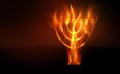 Hanukkah Royalty Free Stock Photo