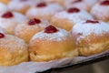 Hanukkah donuts sufgania