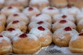 Hanukkah donuts sufgania