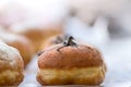 Hanukkah donuts sufgania