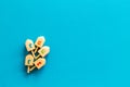 Hanukkah dreidels on blue table. Jewish holideys concept. Top view. space for text Royalty Free Stock Photo