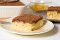 Hanukkah holiday, traditional sweet Kugel pie with noodles and custard, shortbread cocoa crumbs on top. on a light