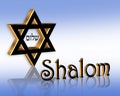 Hanukkah Shalom Jewish Star