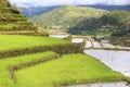 Hapao rice terrace Royalty Free Stock Photo