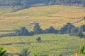 Hapao Rice Terraces Royalty Free Stock Photo