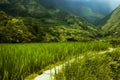 Hapao Rice Terraces, Philippin Royalty Free Stock Photo