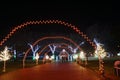 HAPO Electric Winter Wonder Land:Richland Christmas Lights