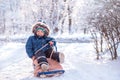 Happily smiling toddler child sitting in sled on snowy road under snowfall. Happy childhood concept Royalty Free Stock Photo