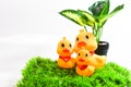 The happines family duck sits on the green grass