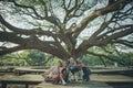 happiness asian family sitting under big raintree Royalty Free Stock Photo
